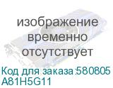A81H5G11