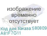A81F7G11