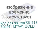 700441 MTW4 GOLD
