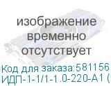 ИДП-1-1/1-1.0-220-А1 (исп.1)