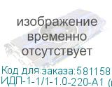 ИДП-1-1/1-1.0-220-А1 (исп.2)