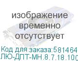 ЛЮ-ДПТ-МН.8.7.18.100.19