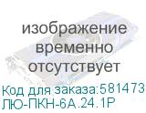 ЛЮ-ПКН-6A.24.1Р