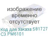 C3.PM6101