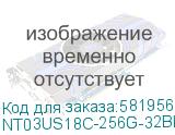 Носитель информации Netac US18 256GB USB3.2+TypeC Dual Flash Drive (NT03US18C-256G-32BK) NT03US18C-256G-32BK
