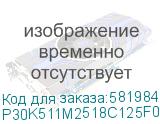 P30K511M2518C125F02NWNUTNN3