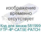 Кабель Cabeus FTP-4P-CAT.5E-PATCH-LSZH-GY кат.5E F/UTP 4 пары LSZH внутренний 305м серый CABEUS FTP-4P-CAT.5E-PATCH-LSZH-GY