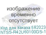 Шкаф серверный NTSS Премиум (NTSS-R42U60100GS-1) напольный 42U 600x1000мм пер.дв.стекл металл 900кг серый NTSS-R42U60100GS-1