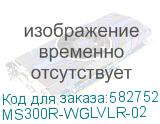 MS300R-WGLVLR-02