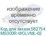 MS300R-WGLVML-02