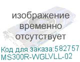 MS300R-WGLVLL-02