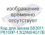 P8100P-13Q3NS4G10EU