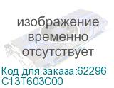 C13T603C00