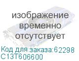 C13T606600