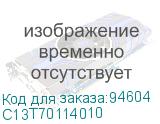 C13T70114010