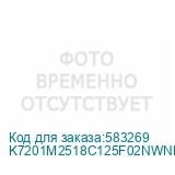 K7201M2518C125F02NWNFTNN3