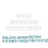 P-P30K511M25116H151F02NWNFTNN3