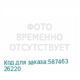 26220