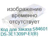 DS-3E1309P-EI(B)