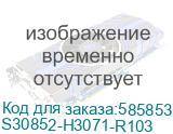 S30852-H3071-R103