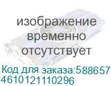 4610121110296