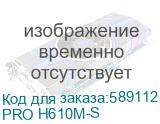 PRO H610M-S